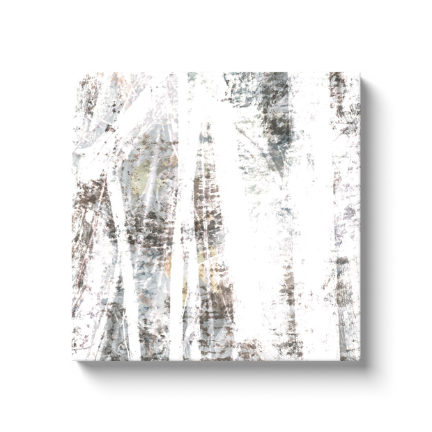 Canvas Wraps-Square (Soft Frost)
